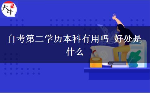 自考第二学历本科有用吗 好处是什么