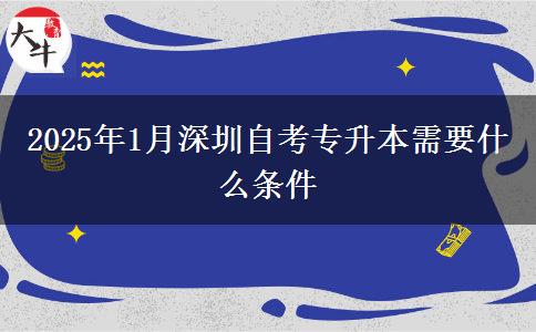 2025年1月深圳自考专升本需要什么条件