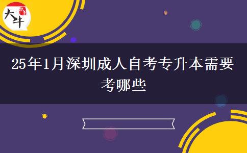 25年1月深圳成人自考专升本需要考哪些