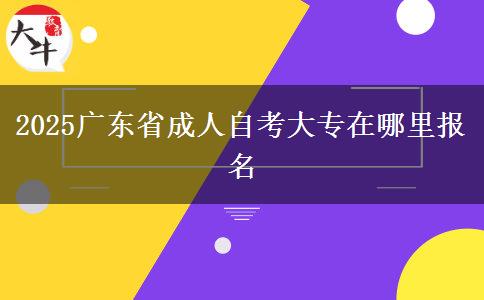 2025广东省成人自考大专在哪里报名