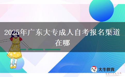 2025年广东大专成人自考报名渠道在哪