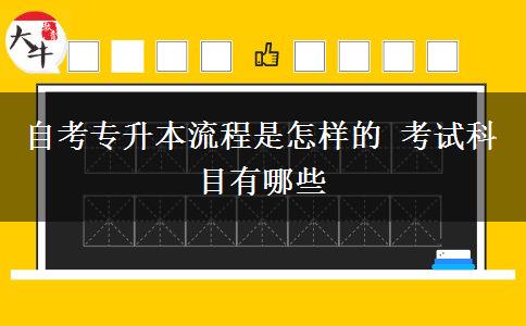 自考专升本流程是怎样的 考试科目有哪些