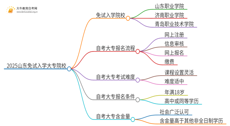 2025山东不用考试就能入学的大专有哪些？思维导图