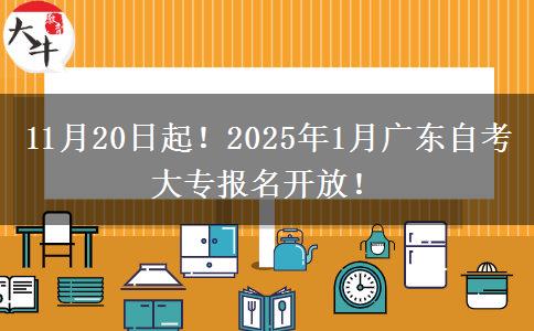 11月20日起！2025年1月广东自考大专报名开放！