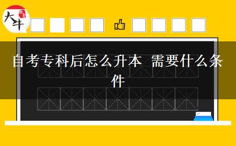 自考专科后怎么升本 需要什么条件