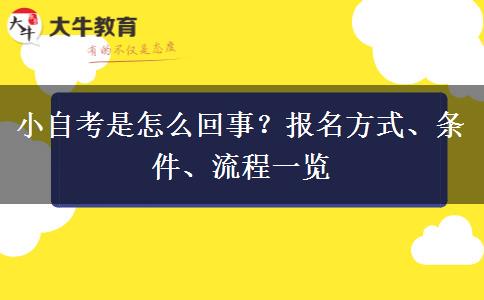 小自考是怎么回事？报名方式、条件、流程一览