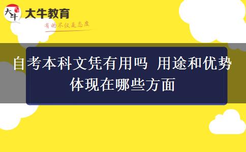 自考本科文凭有用吗 用途和优势体现在哪些方面