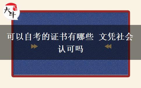 可以自考的证书有哪些 文凭社会认可吗