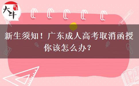 新生须知！广东成人高考取消函授你该怎么办？