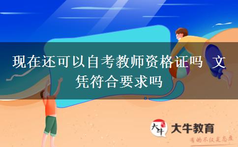 现在还可以自考教师资格证吗 文凭符合要求吗