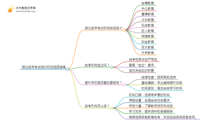 湖北自学考试培训机构排名前十 如何选择思维导图