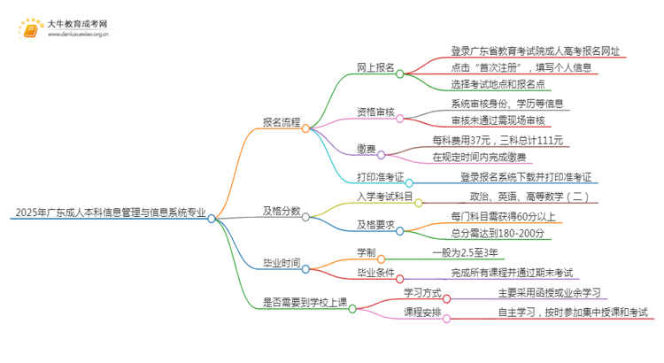 2025年广东成人本科信息管理与信息系统专业详细报考流程（+入口）思维导图