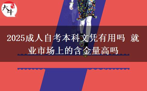 2025成人自考本科文凭有用吗 就业市场上的含金量高吗