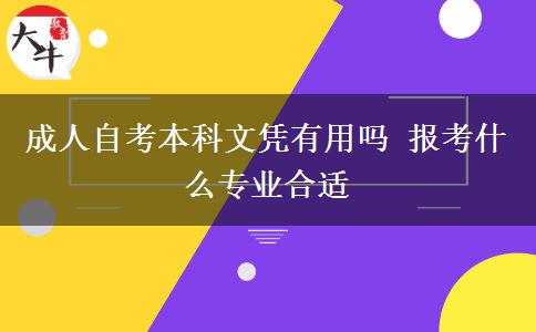 成人自考本科文凭有用吗 报考什么专业合适