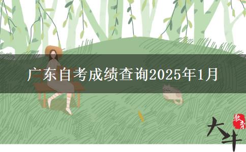 广东自考成绩查询2025年1月