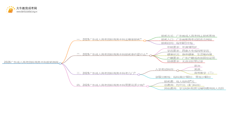 2025广东成人高考国际商务本科专业怎么报名？思维导图
