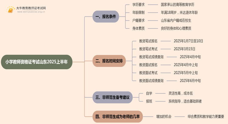 小学教师资格证考试报名条件山东2025上半年思维导图