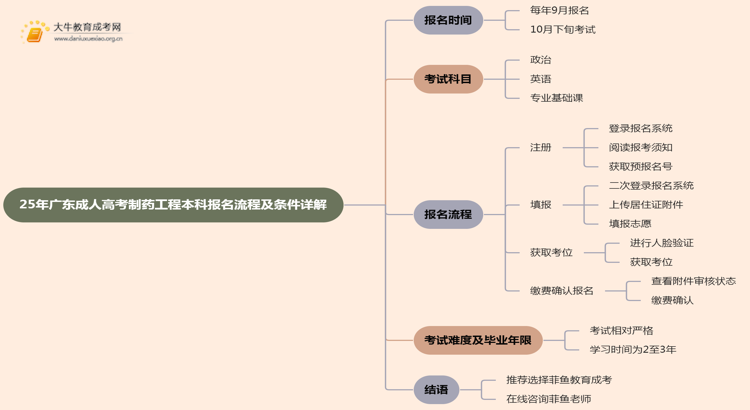 25年广东成人高考制药工程（本科）报名流程及条件详解！思维导图