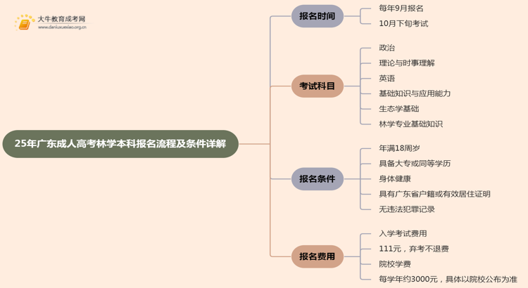 25年广东成人高考林学（本科）报名流程及条件详解！思维导图