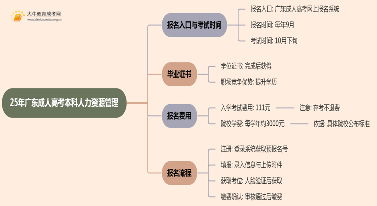 25年广东成人高考本科人力资源管理专业怎么报名 几月考试思维导图