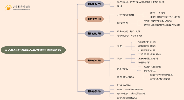 25年广东成人高考本科国际商务专业怎么报名 几月考试思维导图