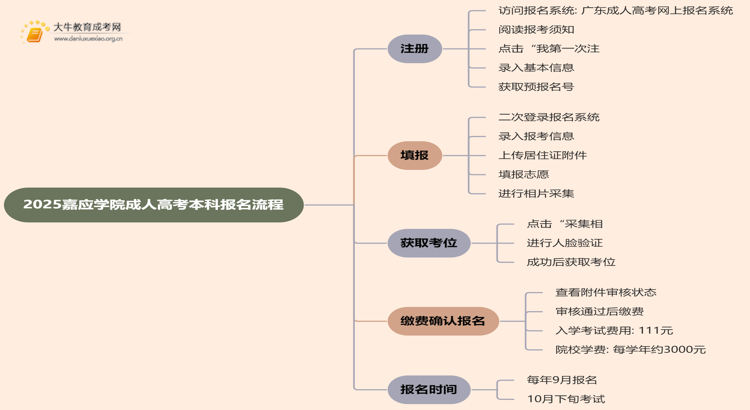 2025嘉应学院成人高考本科怎么报名（+流程）思维导图