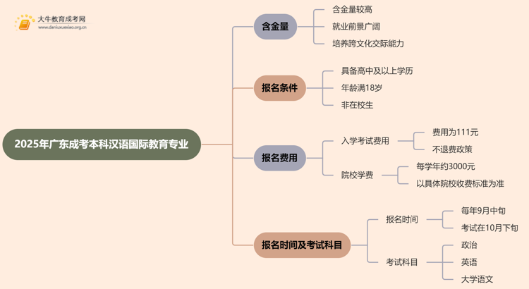 2025年广东成考本科汉语国际教育专业含金量高吗？思维导图