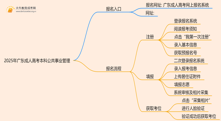 25年广东成人高考本科公共事业管理专业怎么报名 几月考试思维导图