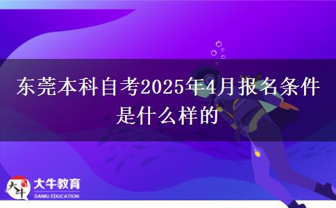 东莞本科自考2025年4月报名条件是什么样的