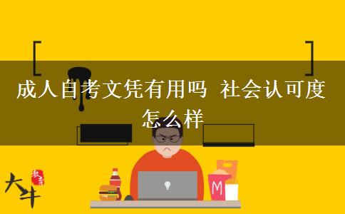 成人自考文凭有用吗 社会认可度怎么样