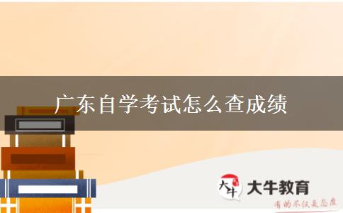 广东自学考试怎么查成绩