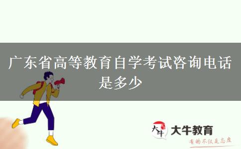 广东省高等教育自学考试咨询电话是多少