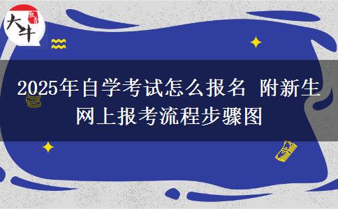 2025年自学考试怎么报名 附新生网上报考流程步骤图