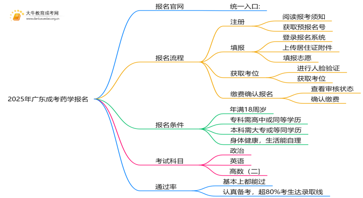 2025年广东成考药学怎么报名（+指南）思维导图