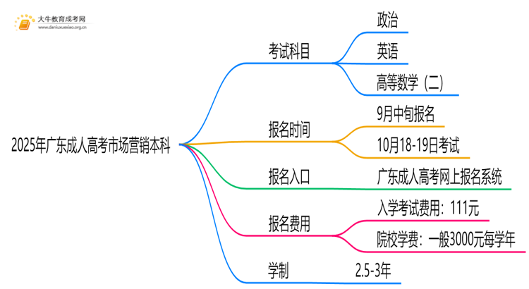 2025年广东成人高考市场营销本科考试科目 仅3门？思维导图