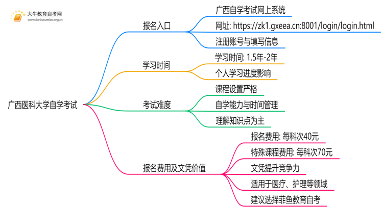 广西医科大学自学考试个人怎么报名？附流程思维导图