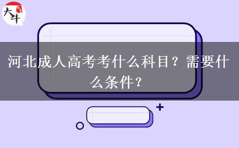 河北成人高考考什么科目？需要什么条件？